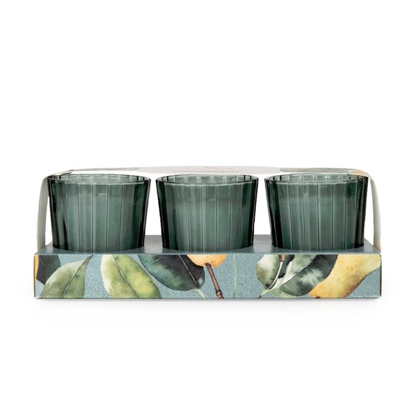 Candlelight Set of 3 Ribbed Mini Candles - Pear Tree & Bay Leaf