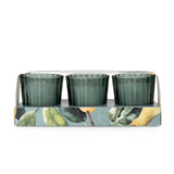 Candlelight Set of 3 Ribbed Mini Candles - Pear Tree & Bay Leaf