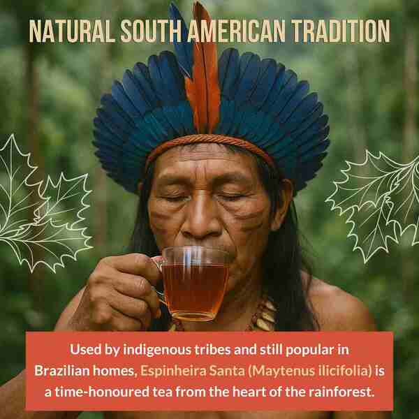 Rio Amazon Espinheira Santa teabags 40 count (British brand)