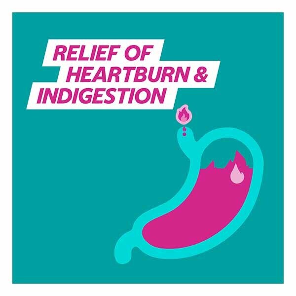 Gaviscon Heartburn & Indigestion Double Action Mint 48s GOODS Superdrug   