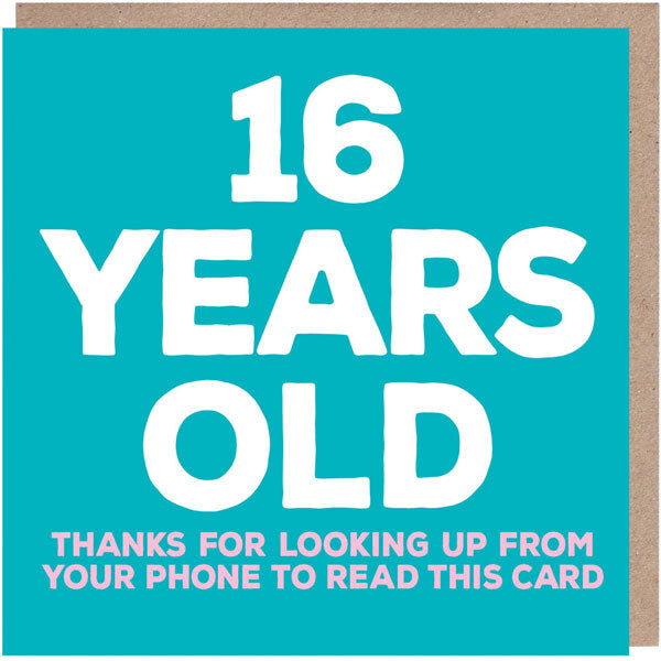 Paper Plane funny birthday card for 16 year old (British brand)