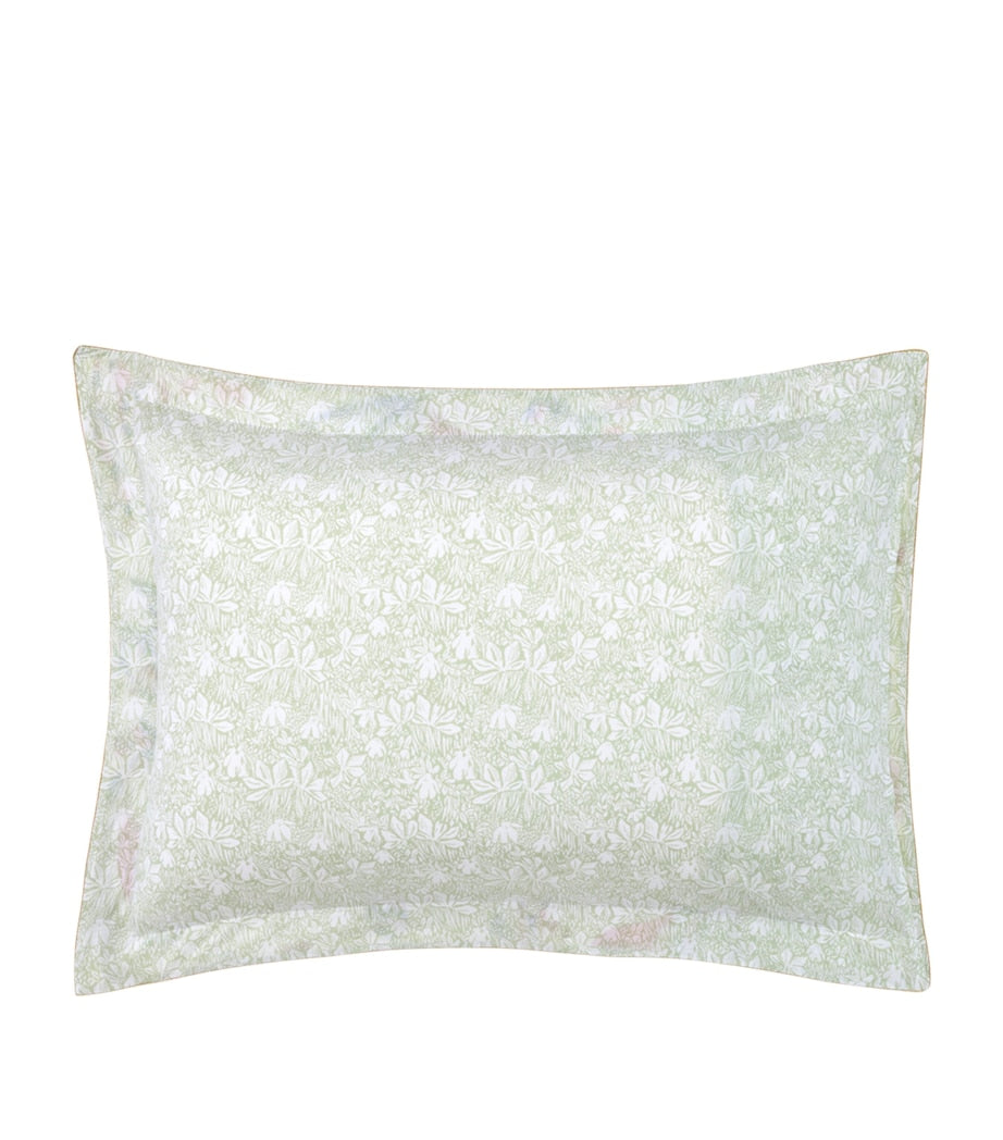 Yves Delorme cotton Oxford pillowcase 50x75cm (British brand)