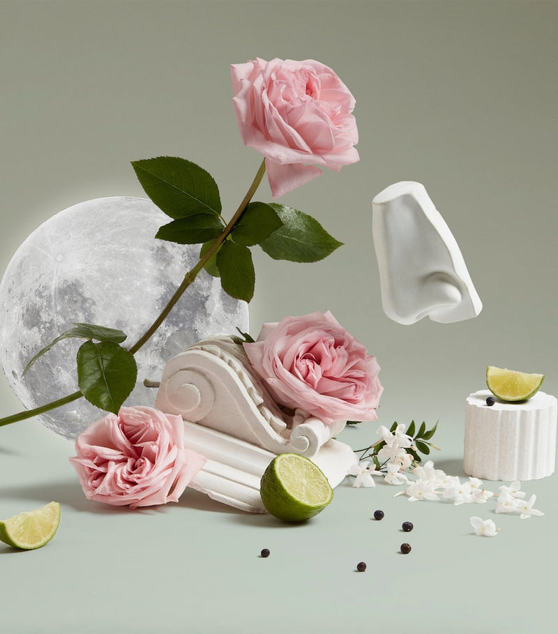Penhaligon's Luna body & hand lotion 500ml (British brand)
