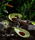 Bordallo Pinheiro kiwi fruit bowl 14cm - British product