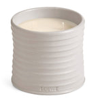 LOEWE medium oregano scented candle 610g, UK version
