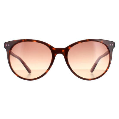 Superdrug Calvin Klein CK18509S Tortoise Milky Purple Brown Women Sunglasses- Buy online at McGrocer
