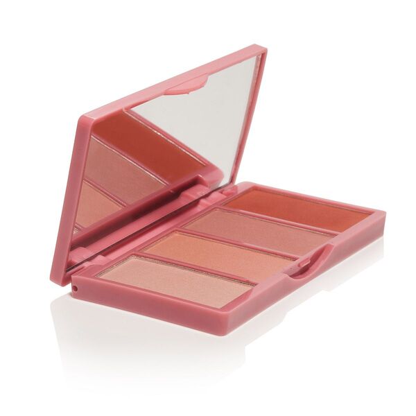 Bellapierre Pro Blush Makeup Palette GOODS Superdrug   