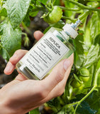 Maison Margiela From The Garden EDT, UK version