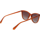 Polaroid Brown PLD 4179 sunglasses, imported from the UK