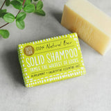Paper Plane Shampoo Bar Peppermint Eucalyptus 95g, imported from the UK