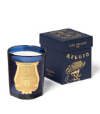 Trudon Reggio citrus mandarin mimosa scented candle 270g (British brand)