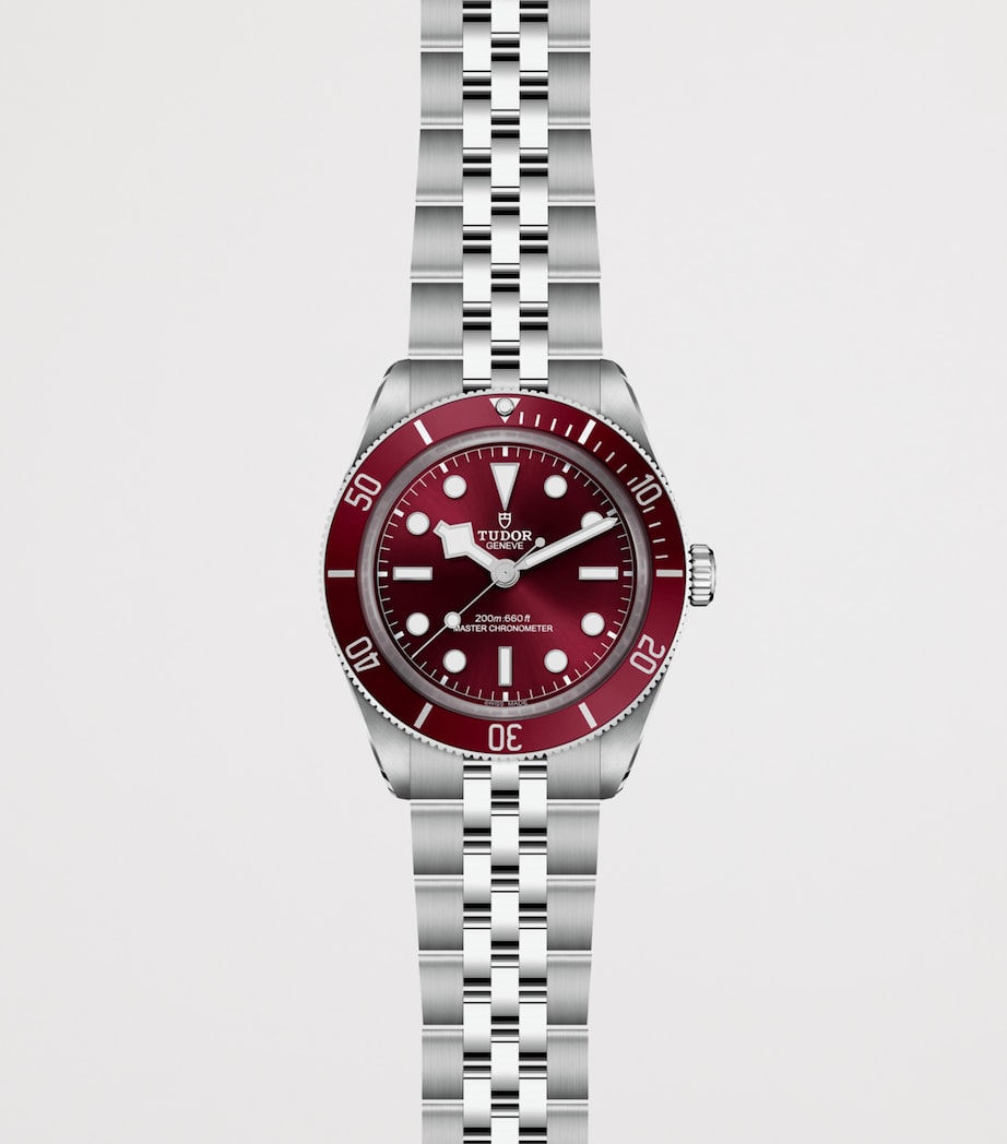 TUDOR Black Bay 58 watch 39mm (British brand)