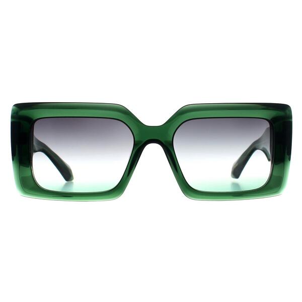 Ana Hickmann sunglasses AH9397 green gradient, imported from the UK
