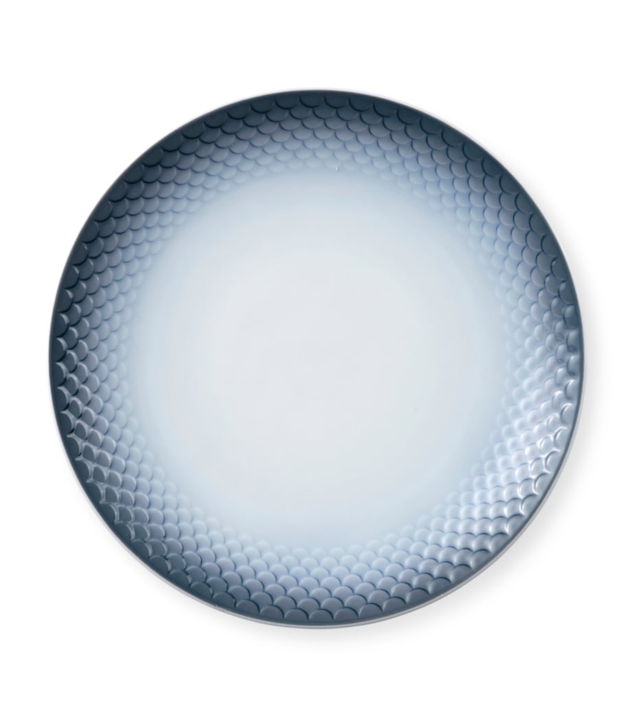 Royal Copenhagen Hav plate 17cm, imported from the UK