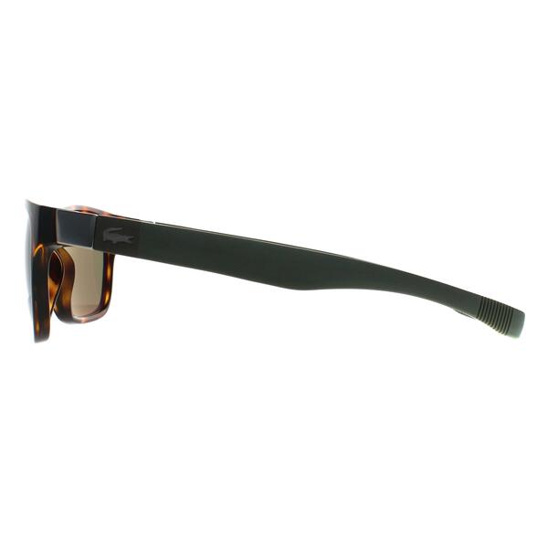 Lacoste L737S men's sunglasses Havana Green acetate frame, imported from the UK