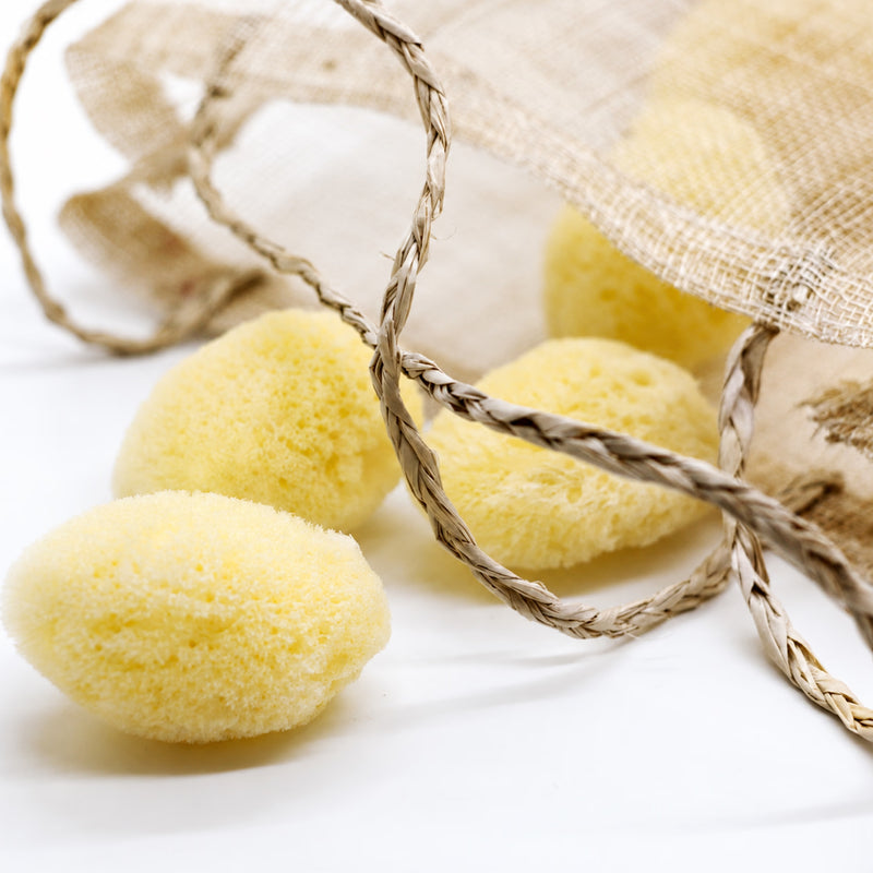 Natural sea sponge puffs 6-pack (British brand)