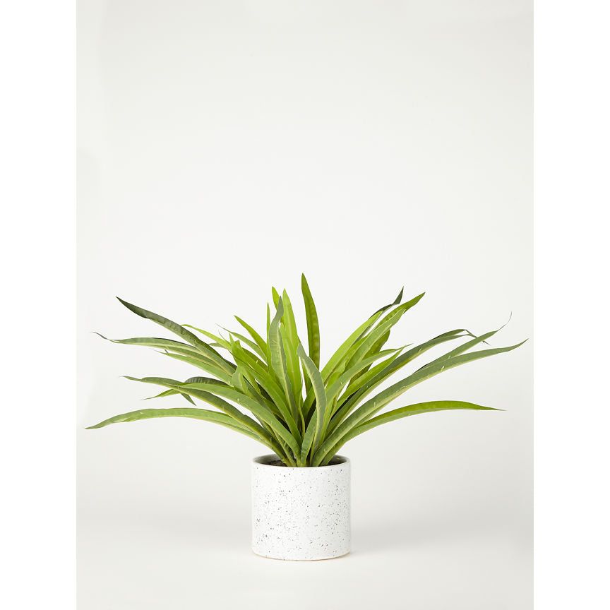 George Home Faux Plant In Speckled Pot 30Cm General Household ASDA   