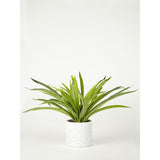 George Home Faux Plant In Speckled Pot 30Cm General Household ASDA   