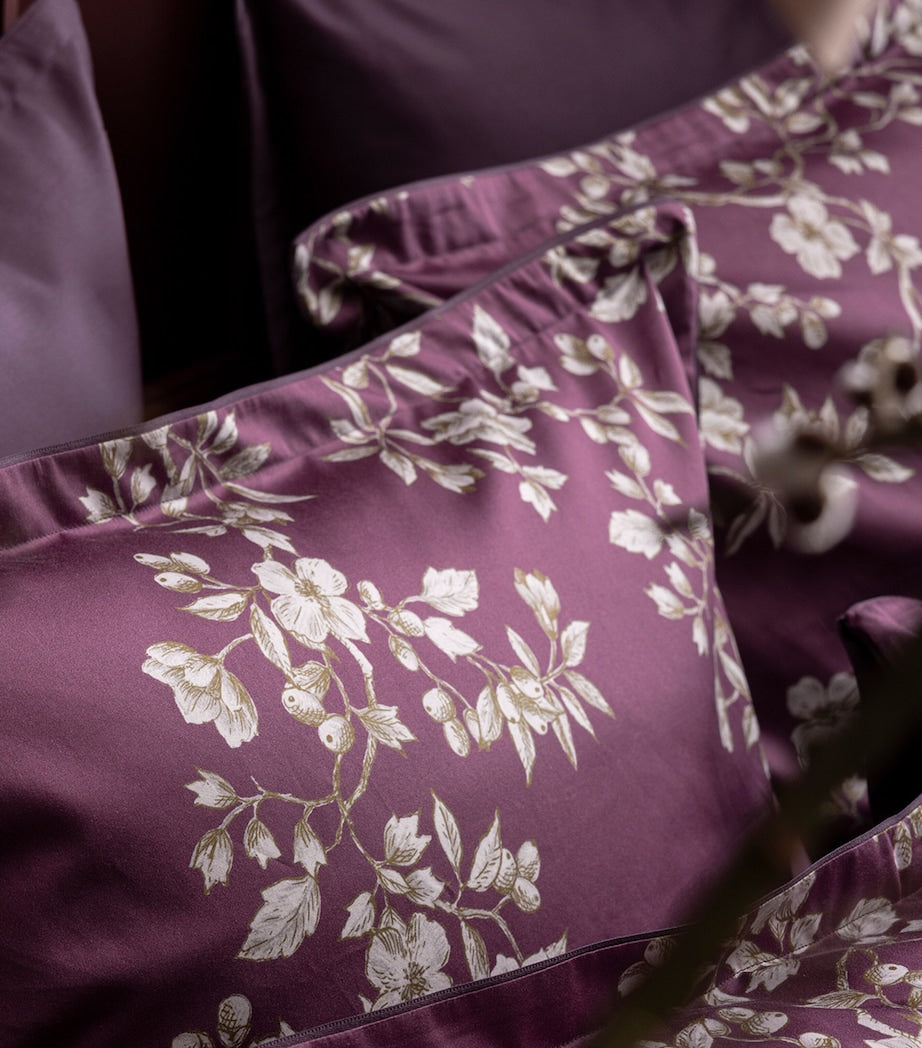 Alexandre Turpault organic cotton pillowcase 65cm, UK version