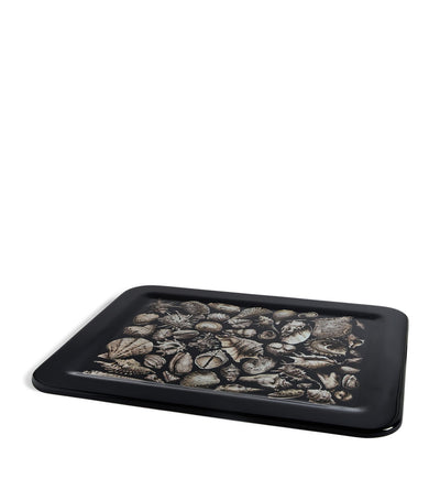 Harrods Fornasetti Conchiglie Decorative Tray- Buy online at McGrocer