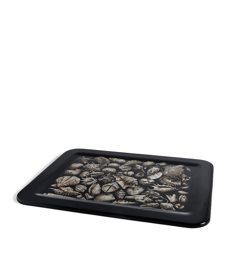 Fornasetti Conchiglie tray - British product
