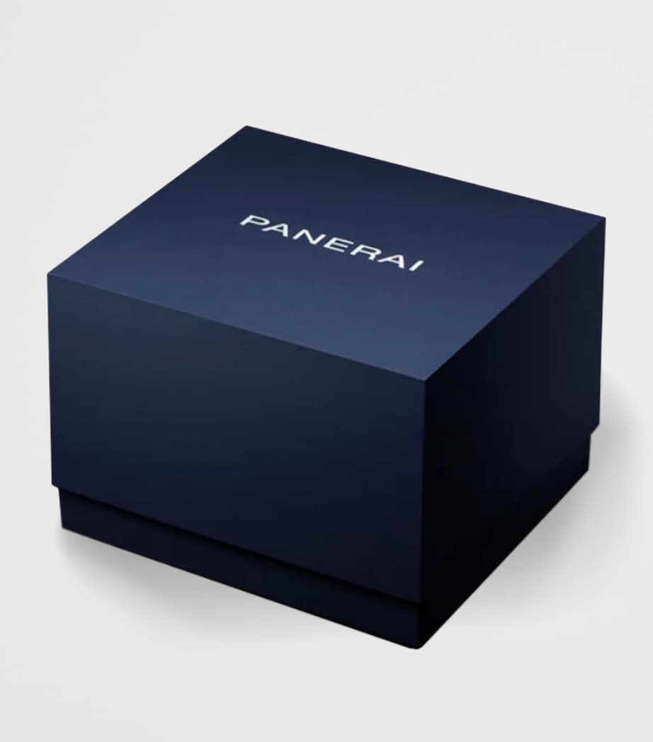 Panerai Luminor Due Luna 38mm stainless steel watch (British brand)