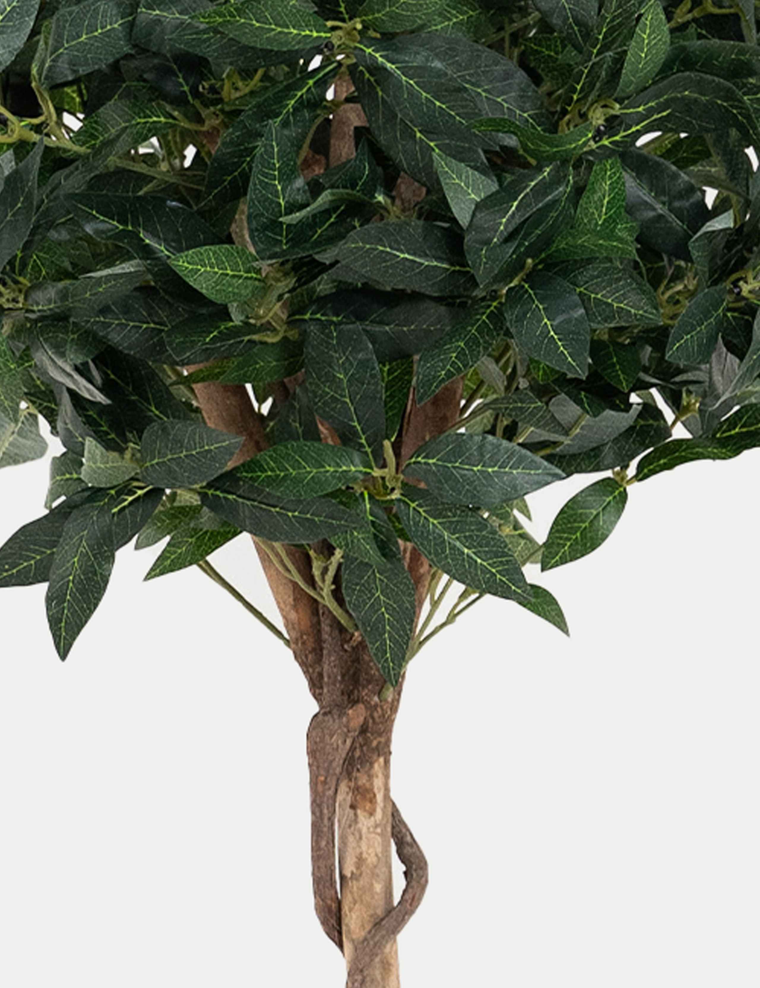 Blooma Artificial Bay Trees Set of 2 120cm (British brand)