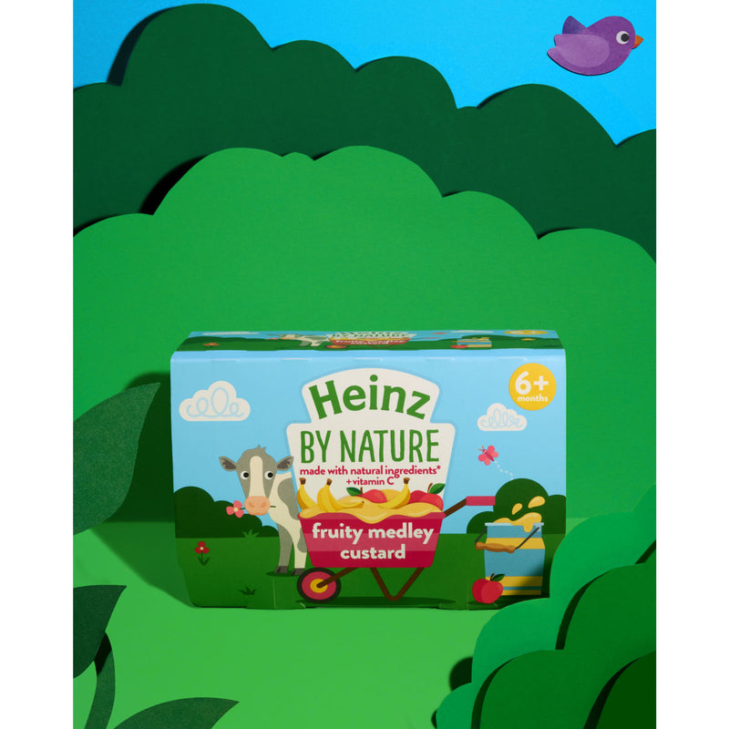 Heinz by Nature Fruity Medley Custard 6+ months 4 x 100g, UK version