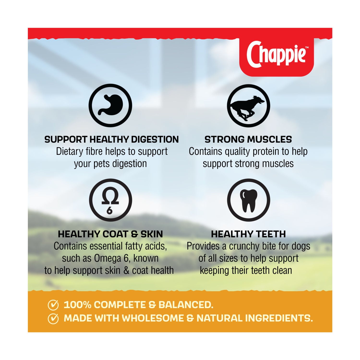 Chappie dry dog food chicken & wholegrain cereal 3kg - British product
