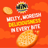 Jacob's Red Leicester Flavour biscuits multipack 6x23g, UK version