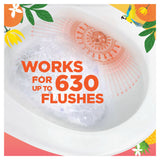Duck Fresh Discs Tropical Summer toilet cleaner twin refill, UK version