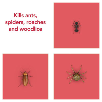 Raid Ant & Cockroach Insect Killer Aerosol Spray 300ml