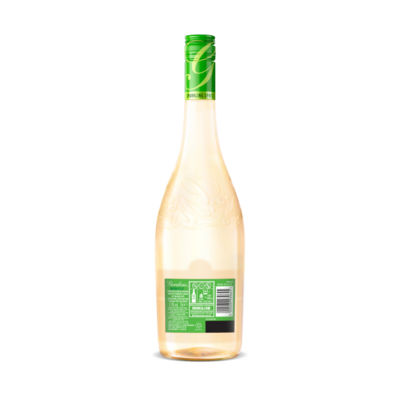 Gordon's Spritz Elderflower & Citrus lightly sparkling 750ml (British brand)