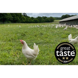 Packington free range white eggs 6 pack, imported from the UK