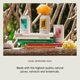 Something  Nothing Mixed Pack 12 Cans Premium Soda