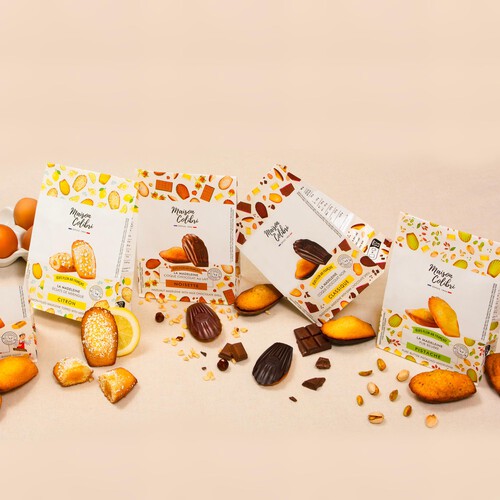 Maison Colibri Traditional Madeleine Dark Chocolate Shell