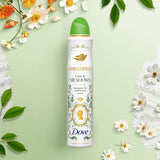 Dove Bridgerton Love & Meadows deodorant aerosol (British brand)