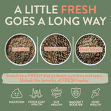 BOOST Pet Chicken with Superfoods Meal for Dogs