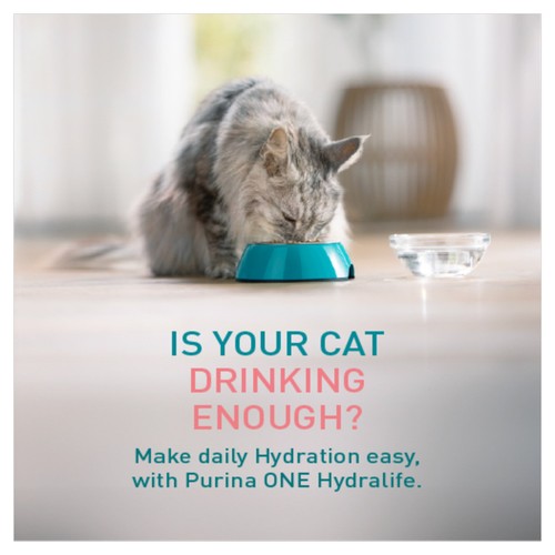 Purina One Hydralife cat liquid salmon 6 x 50g, imported from the UK