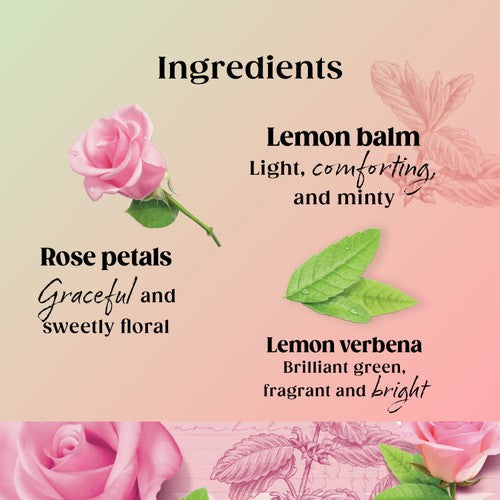 Twinings Balance Tea rose and lemon balm 20 tea bags (British brand)