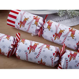 Ageless Eye Discovery Duo