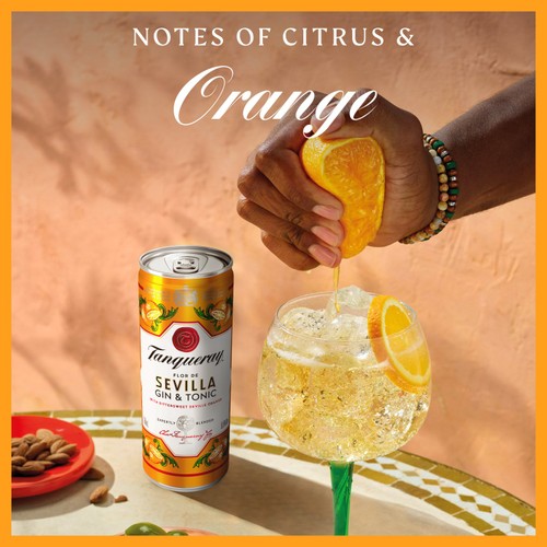 Tanqueray Flor de Sevilla gin and tonic ready-to-drink can 250ml (British brand)