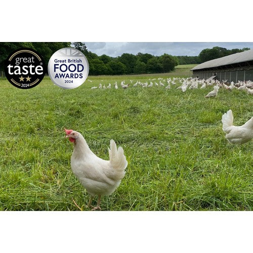 Packington Free Range White Eggs 12 per pack, imported from the UK