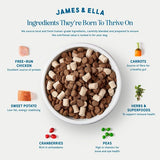 James & Ella Kibble + Freeze Dried Raw Chicken Dog Food