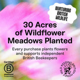 Black Bee Honey British Autumn Heather Honey