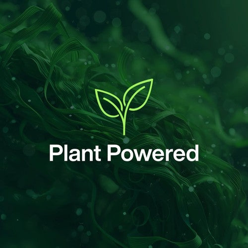 INEOS Antibac Multi-Room Spray Sicilian Lemon + Cypress