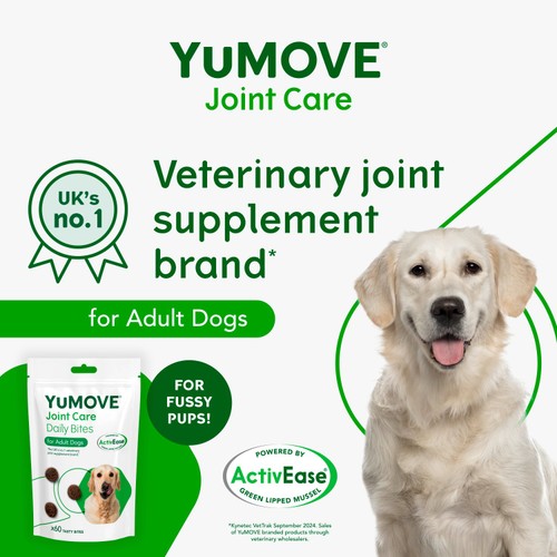 YuMOVE Joint Support Bites for adult dogs - British product
