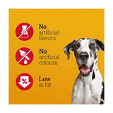 Pure Day and Night Duo