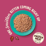 Lily's Kitchen Cat Smooth Chicken & Cod Pate for Kittens