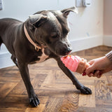 Rosewood Fill N Freeze Icecream For Dogs